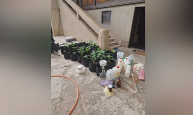 Բացահայտվել է թմրամիջոցների արտադրման և աճեցման լաբորատորիա.  (տեսանյութ)