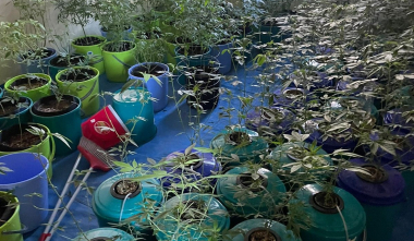 Երևանում հայտնաբերվել է թմրամիջոցների պատրաստման գաղտնի լաբորատորիա. պարզվել են էական հանգամանքներ