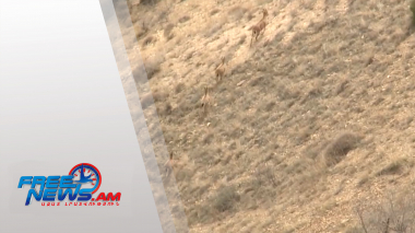 2 միլիոն եվրո՝ Հայաստանում էկոմիջանցքների ստեղծման համար