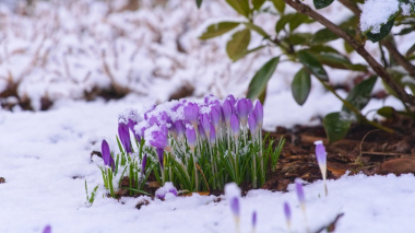 ՀՀ մի շարք շրջաններում ձյուն է սպասվում