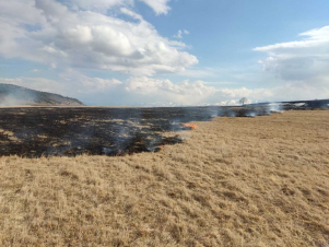 Ձյունաշող գյուղի անտառամերձ հատվածում բուսածածկույթ է այրվել