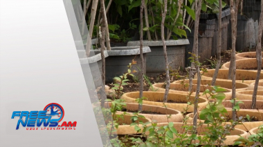 Երևանում հիմնվում է 20 հեկտար տարածք զբաղեցնող տնկարան