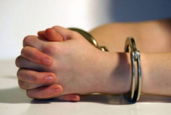 Անչափահասների կատարած հանցագործությունների՝ դատարան ուղարկված վարույթների մեծ մասը վերաբերել է գողությանը, թմրամիջոցին, մարմնական վնասվածք հասցնելուն