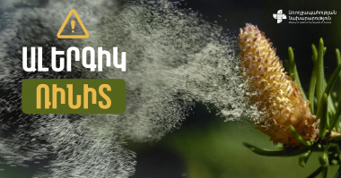 Սոճիների ծաղկման շրջանում հանգստյան գոտիներ այցելելը կարող է ալերգիկ ռինիտի կամ բրոնխիալ ասթմայի սրացման պատճառ դառնալ