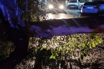 Նոր Արեշում ծառը կոտրվել և ընկել է ճանապարհին