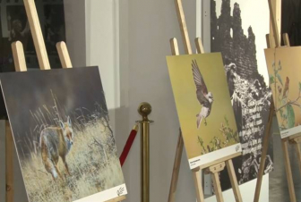 Երևանում մեկնարկել է «Արևորդի» 12-րդ միջազգային բնապահպանական փառատոնը