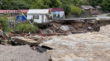 ՍԱՏՄ-ն հորդորում է ձեռնպահ մնալ Աղետի գոտում անկած կենդանիներին ինքնուրույն ոչնչացնելուց