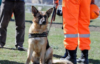 «Շիրակ» օդանավակայանում ռումբի կեղծ ահազանգ հնչեցրած անձը ձերբակալվել է