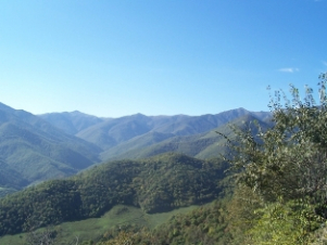 Հուլիսի 7-ին «Խոսրովի անտառ» պետական արգելոցը փակ կլինի