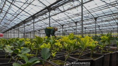 Լճաշեն գյուղում կկառուցվի գերժամանակակից ջերմոցային համալիր