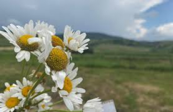 Օդի ջերմաստիճանն աստիճանաբար կնվազի