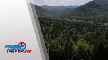 Հայաստանում մեծ թափ է առել անտառային հողերի վարձակալության գործընթացը
