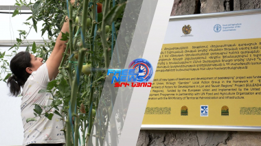 LEADER մեթոդաբանությամբ և ՏԱԽ-երի աջակցությամբ իրականացվող ծրագրերը՝ Հայաստանում