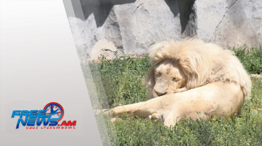 Կենդանաբանական այգու բնակիչները նոր ազատավանդակներ կունենան