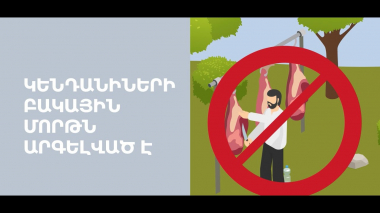 Կենդանիների բակային մորթն արգելված է. հայտնաբերելու դեպքում ՍԱՏՄ-ն կկասեցնի ամբողջ խմբաքանակի իրացումը
