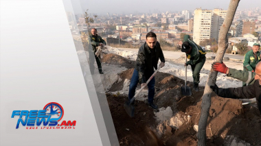 Ծառատունկ՝ Նորքի լանջերում