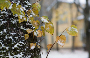 Սպասվում է առանց տեղումների եղանակ