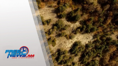 3 տարվա ընթացքում Հայաստաում տնկել են մոտ 2 միլիոն սերմնաբուսակ