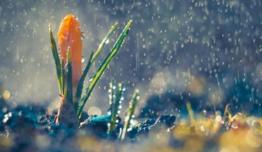 Առաջիկա օրերին ջերմաստիճանը կնվազի