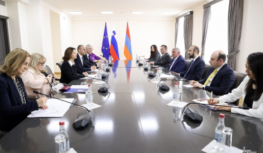 Ընթանում է Միրզոյանի և Սլովենիայի ԱԳ նախարարի ընդլայնված կազմով հանդիպումը