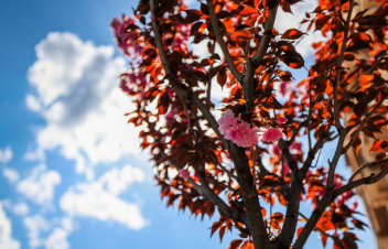 Օդի ջերմաստիճանը կբարձրանա 10-13 աստիճանով. առանձին վայրերում սպասվում է քամու ուժգնացում