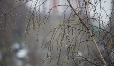 Հանրապետության շրջանների զգալի մասում սպասվում է կարճատև անձրև և ամպրոպ, օդի ջերմաստիճանը կնվազի