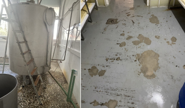 Կասեցվել է «Պիցցա Տաշիր» ՍՊԸ-ին պատկանող կաթնամթերքի արտադրության գործունեությունը Տաշիրում