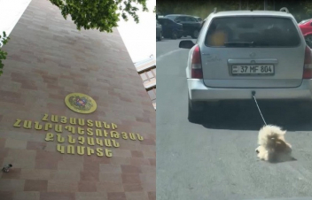 Շանը մեքենային կապած վիճակում վարելու դեպքի առթիվ նախաձեռնվել է քրեական վարույթ