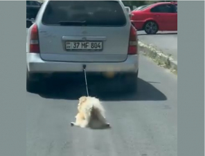 Շան նկատմամբ դաժան վերաբերմունքի համար 62-ամյա տղամարդու նկատմամբ հարուցվել է հանրային քրեական հետապնդում