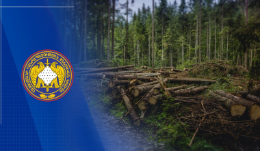 «Հայանտառ» ՊՈԱԿ-ի մասնաճյուղերից մեկի տնօրենը պետությանը պատճառել է առանձնապես խոշոր չափերով վնաս