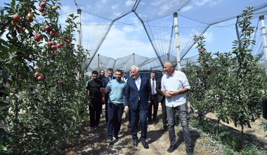 ՀՀ նախագահն այցելել է Նաիրի և Եղվարդ համայնքներում գտնվող խնձորի այգիներ