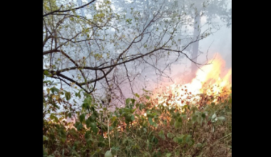 Հրդեհ «Հայանտառ» ՊՈԱԿ-ի «Արծվաբերդի անտառտնտեսություն» մասնաճյուղին հարակից տարածքում