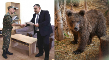 ՊՆ զինծառայողը պարգևատրվել է արջի քոթոթին փրկելու համար