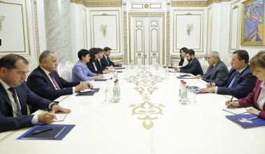 Վարչապետն ընդունել է Մարթա Կոսի գլխավորած պատվիրակությանը