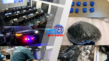 ՆԳՆ ամփոփագիր