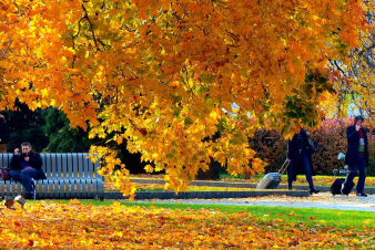 Ինչպիսի եղանակ է սպասվում հոկտեմբեր ամսին