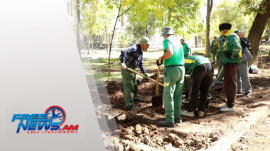 Ուսանողական այգում 70 չորացած ծառերը փոխարինվում են նորերով