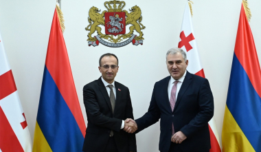 Միխեիլ Սարջվելաձեն Արսեն Թորոսյանին առաջարկել է դիտարկել աշխատանքի և սոցիալական պաշտպանության ոլորտում ՀՀ-Վրաստան համատեղ առաջին համաժողովի կազմակերպման հնարավորությունը