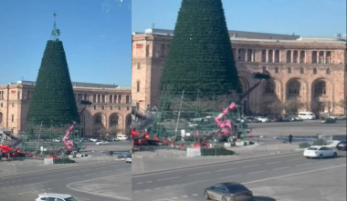 Հանրապետության հրապարակի տոնածառը հավաքվում է. Փաշինյանը տեսանյութ է հրապարակել