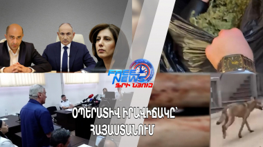 Գայլը հարձակվել է 6 հոգու վրա, այդ թվում՝ վնասելով 3 տարեկան երեխայի