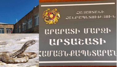 Օձի մասին ահազանգից հետո Քաղցրաշենի մանկապարտեզը երկու օրով փակվել է