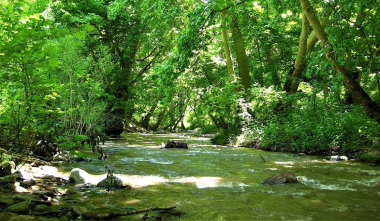Ծավում, որտեղ խմելու ջրում սնդիկ էր հայտնաբերվել, ապօրինի հանքարդյունահանման գործ է բացահայտվել․ ՔԿ
