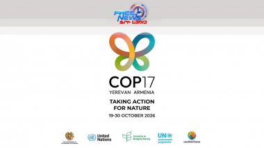 COP 17-ին ընդառաջ առաջնորդների գագաթնաժողովը շարունակվում է | ՈՒՂԻՂ