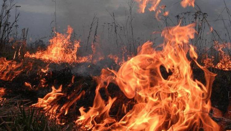 Հրդեհ՝ Երևանում. այրվում է խոտածածկ տարածք