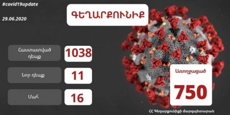 Գեղարքունիքի մարզում հաստատվել է կորոնավիրուսի 11 նոր դեպք