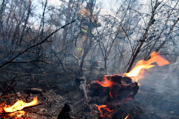 Սիբիրում անտառային հրդեհների ծուխը շուտով կհասնի Հյուսիսային բևեռ․ գիտնականներ