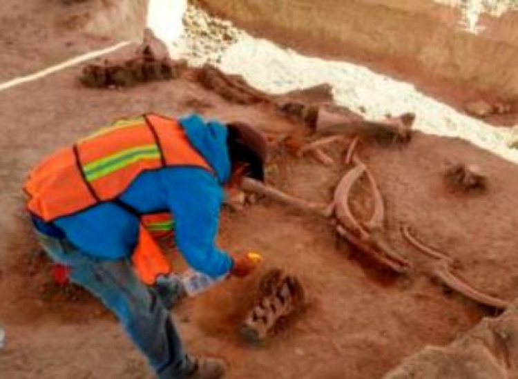 Գիտնականները վկայություններ են գտել այն մասին, որ Հյուսիսային Ամերիկայում մարդիկ ապրել են 26 500 տարի առաջ