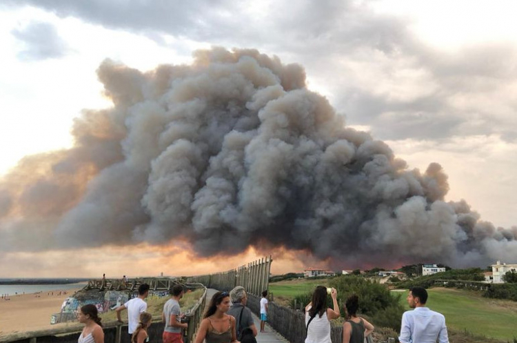 Ֆրանսիայում մեկ գիշերվա ընթացքում 165 հեկտար անտառ է այրվել