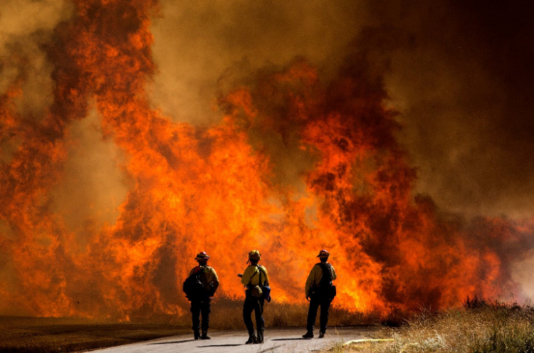 Կալիֆոռնիայում բռնկված անտառային հրդեհների հետևանքով ավելի քան 20 000 ակր հողատարածք է այրվել, տարհանվել է առնվազն 8000 մարդ