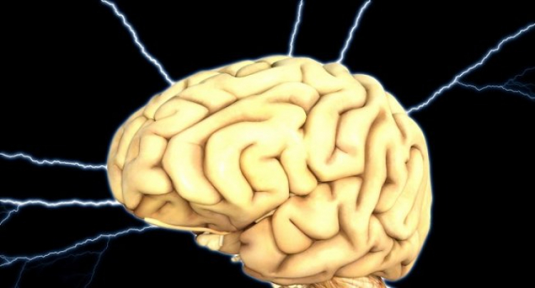 Ինչ է կատարվում ուղեղի բջիջների հետ արագ քնի ժամանակ